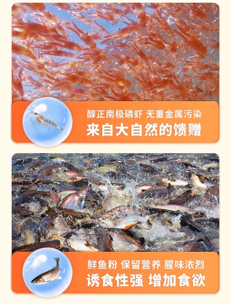 1720769866493052862.jpg 8.jpg